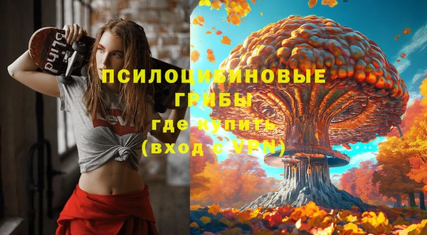 MESCALINE Инта