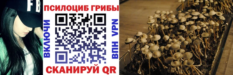 Псилоцибиновые грибы мицелий  Купить где  Калачинск 